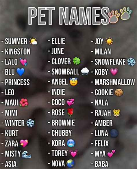 cute unisex names for pets